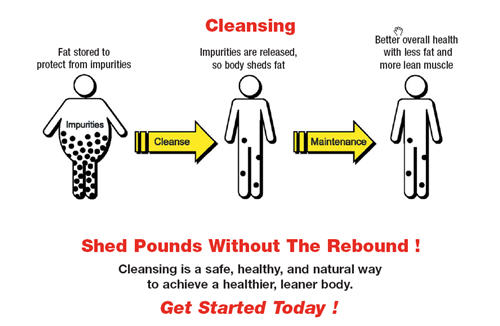how cleansing works diagram