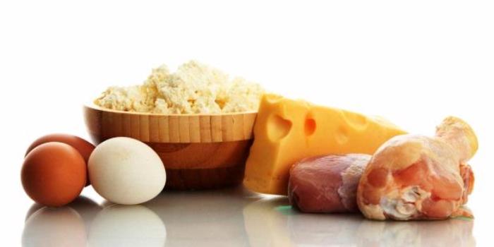 protein