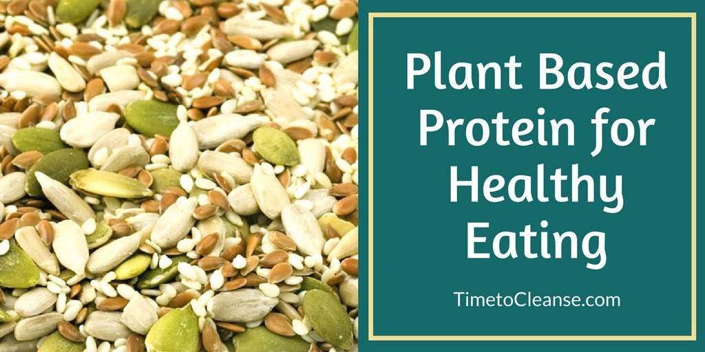 Seeds and plant based proteins