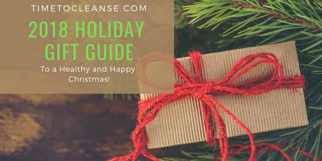 2018 holiday gift guide with simple present and christmas tree branch