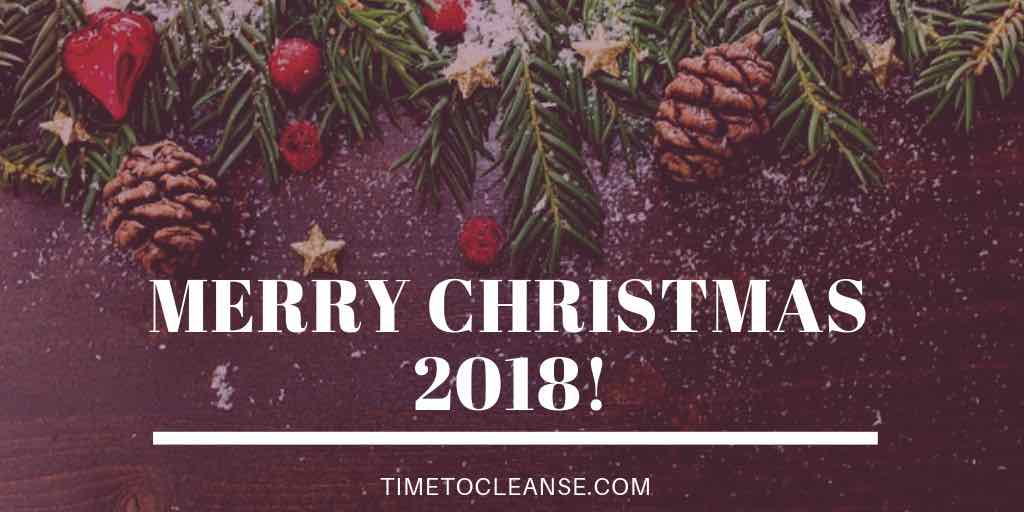 merry christmas 2018 with christmas tree branches ornaments and pine cones