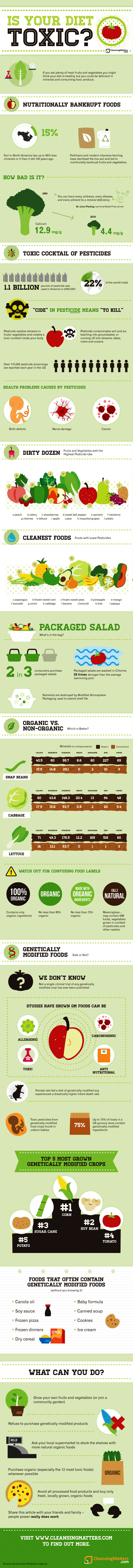 Toxic Diet Infographic