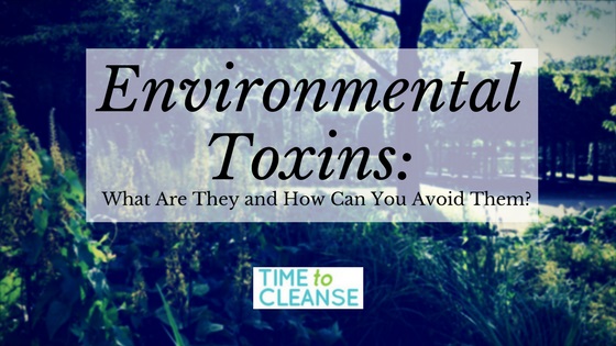 Environmental Toxins What Are They And How Can You Avoid Them