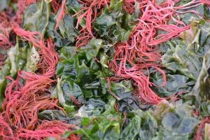 red and green seaweed
